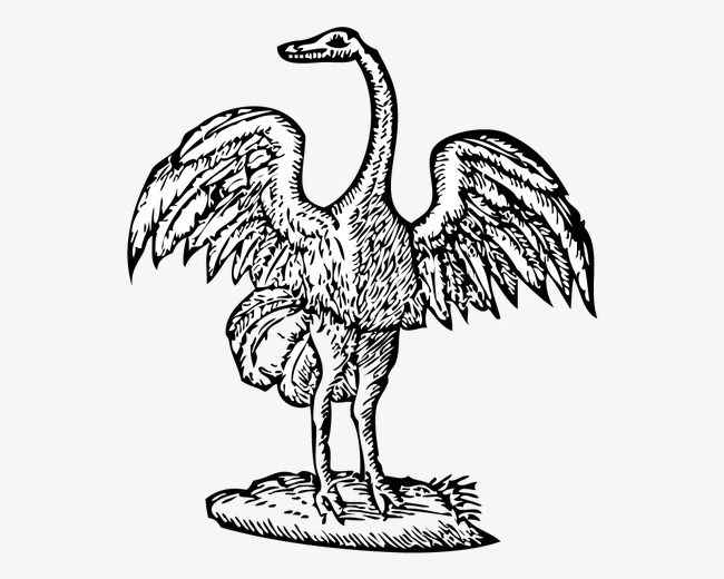 650x520 Hand Painted Ostrich, Sketch, Hand Painted, Bird Png And Vector - Ostrich Sketch