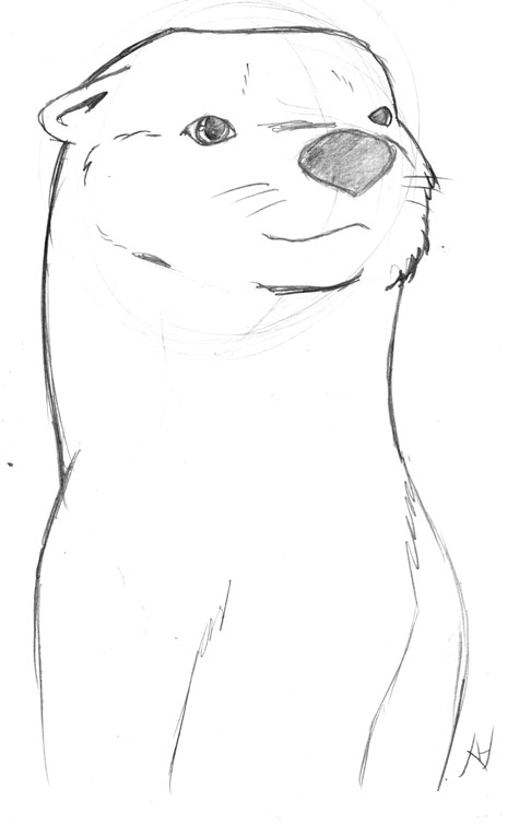 475x754 Otter Sketch 17 10 13 Weasyl - Otter Sketch