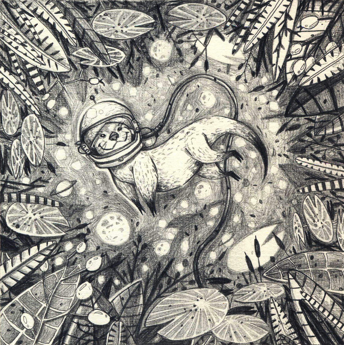 1400x1405 Otter Sketch On Behance - Otter Sketch