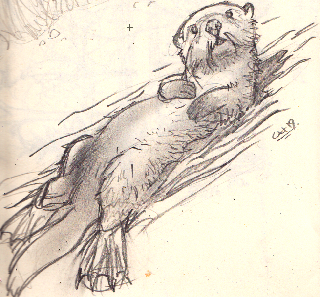 655x609 Otter Sketch - Otter Sketch