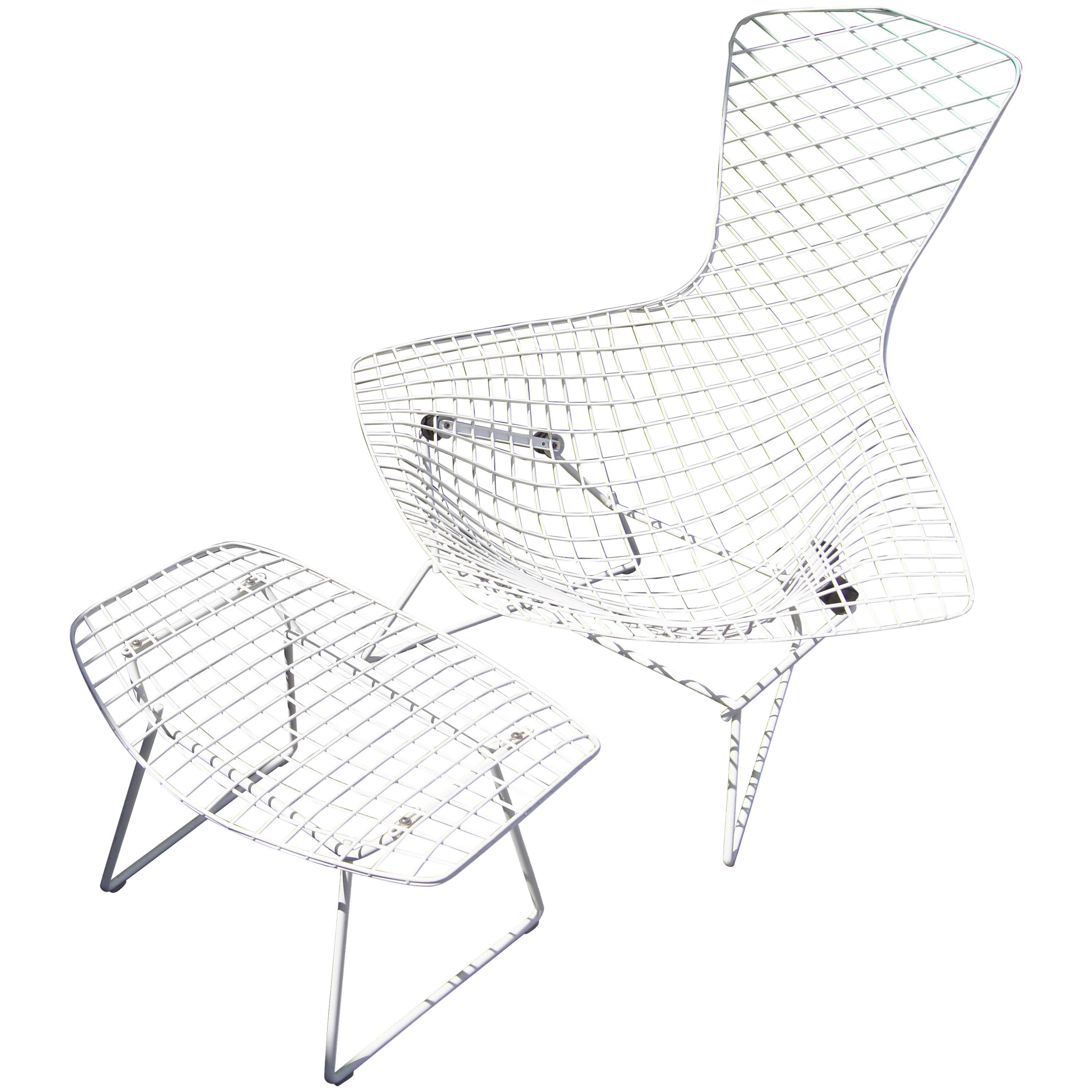 3000x3000 Bird Chair And Ottoman By Harry Bertoia For Knoll For Sale - Ottoman Sketch