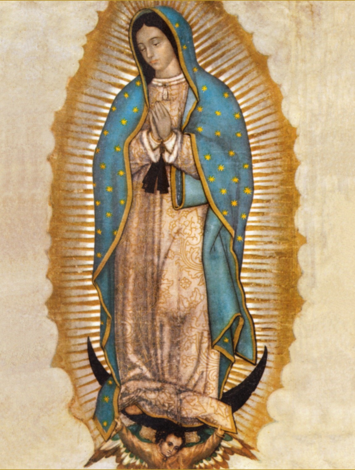 1151x1525 Our Lady Of Guadalupe - Our Lady Of Guadalupe Sketch