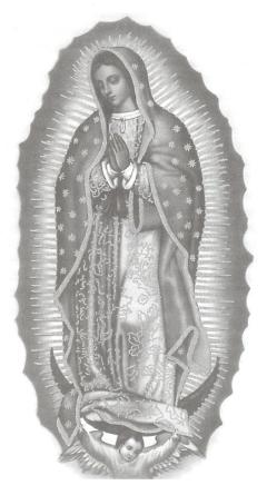 240x445 Our Lady Of Guadalupe - Our Lady Of Guadalupe Sketch