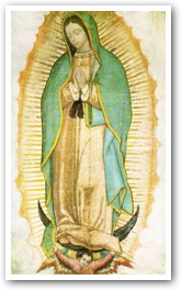 166x265 The Amazing Truth Of Our Lady Of Guadalupe - Our Lady Of Guadalupe Sketch