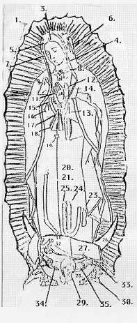 197x463 The Image Of Our Lady Of Guadalupe - Our Lady Of Guadalupe Sketch