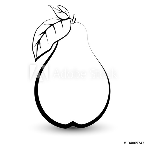 500x500 Outline Sketch Monochrome Pear. Black And White Elegant Contour Of - Out Line Sketch