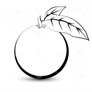 300x300 Stock Illustration Outline Sketch Monochrome Orange Black White - Out Line Sketch