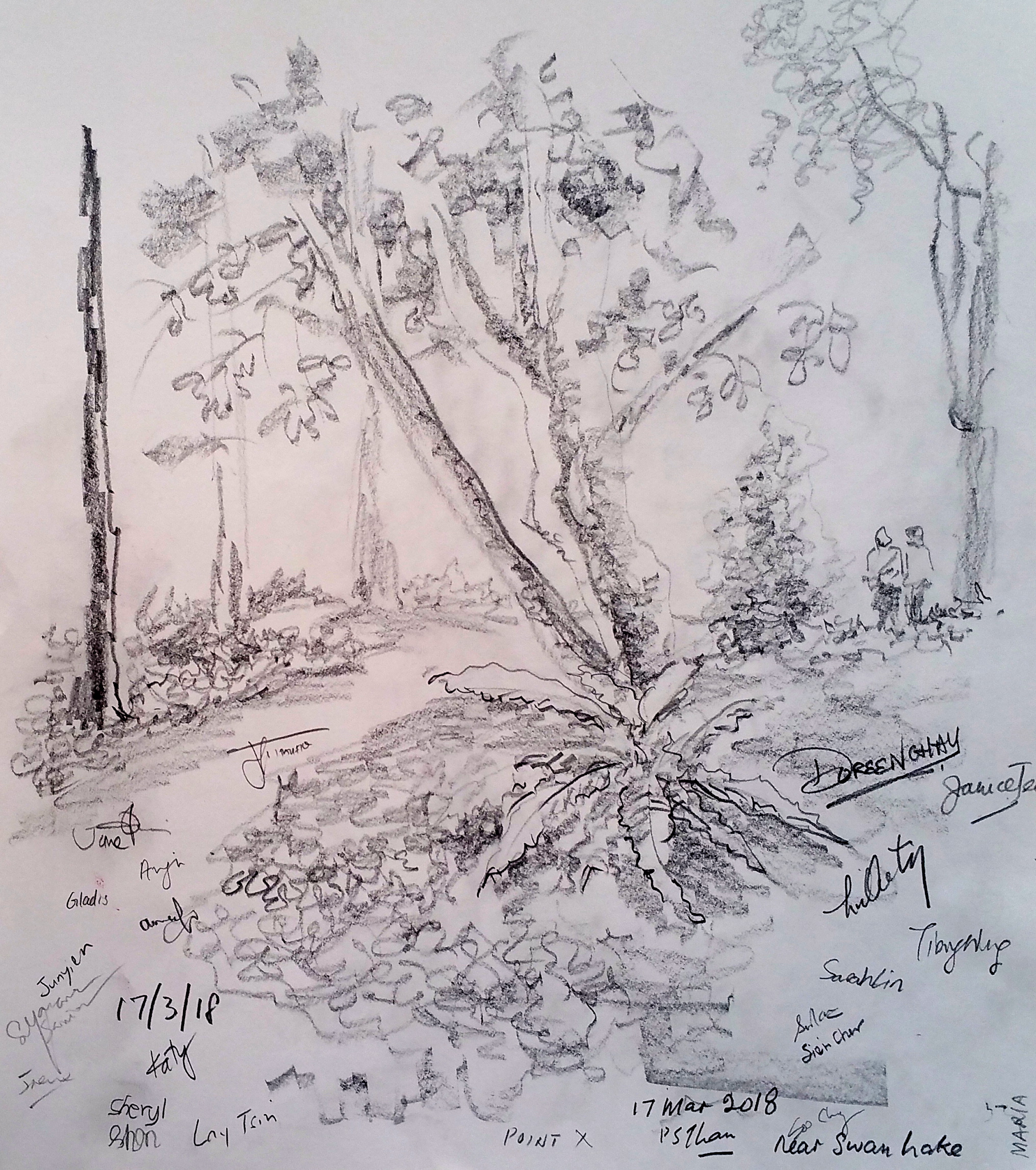 2032x2295 Outdoor Sketching Art In Wetlands - Outdoor Sketching