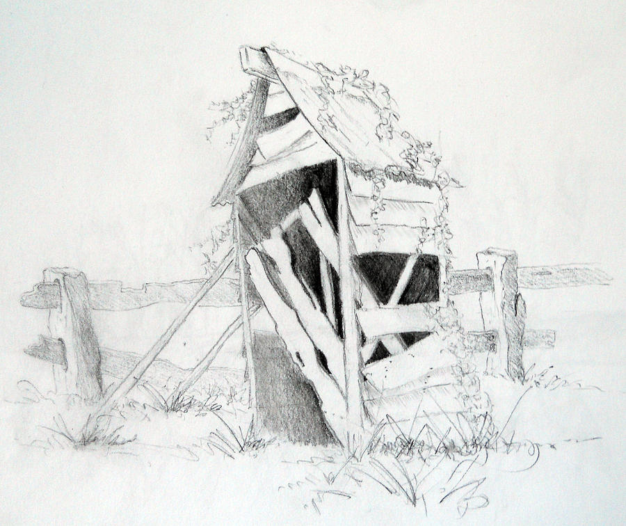 900x756 Old Aussie Outhouse Drawing By Carol Mclagan - Outhouse Sketch