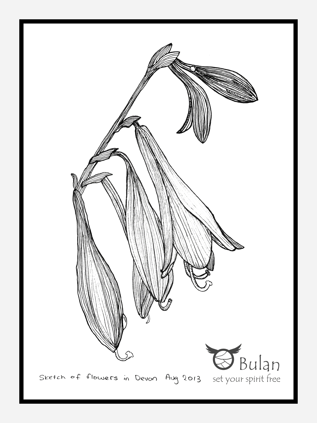 1200x1600 Sketch Of The Day 106 Flower In - Outlet Sketch