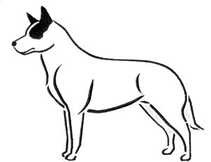 300x231 Dog Outline Sketch - Outline Sketch