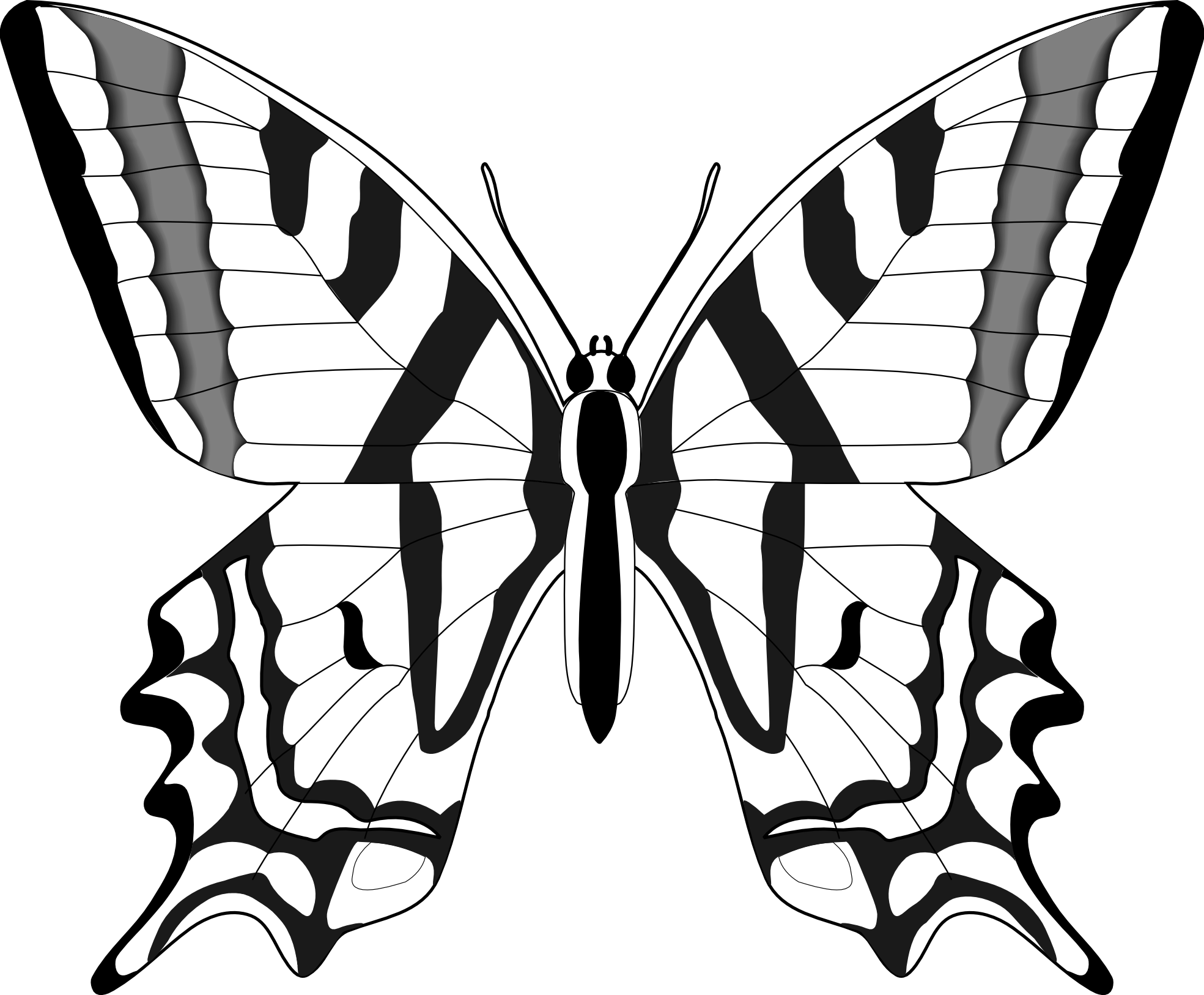 1969x1626 Butterfly Outline Clipart Clipart Panda - Outline Sketch Of A Butterfly