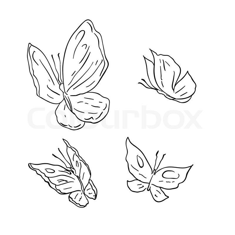 800x800 Drawing Abstract Butterfly. Stock Vector Colourbox - Outline Sketch Of A Butterfly