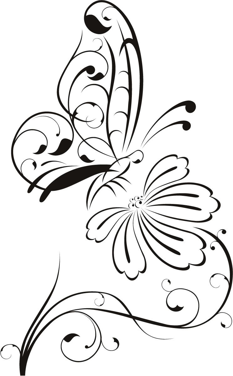 744x1200 Outline Sketch Of Flowers Butterfly On Flower Outline Floral Wall - Outline Sketch Of A Butterfly