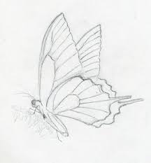 216x233 Pencil Outline Easy Drawing Butterfly Pretty - Outline Sketch Of A Butterfly