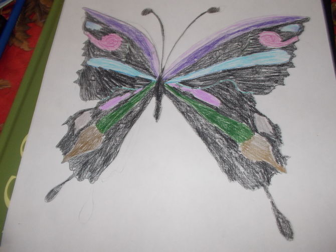 670x503 2 Ways To Draw A Butterfly Step By Step - Outline Sketch Of A Butterfly