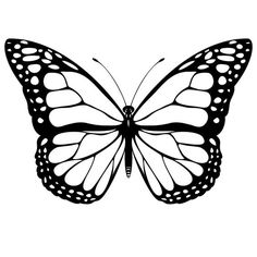 236x236 The First Stencil Shaped Like A Monarch Butterfly. Description - Outline Sketch Of A Butterfly