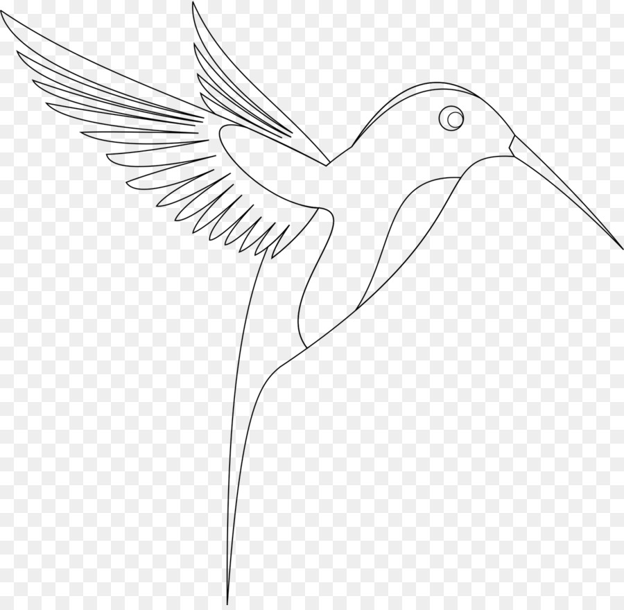 900x880 Hummingbird Drawing Sketch - Outline Sketch Of Birds
