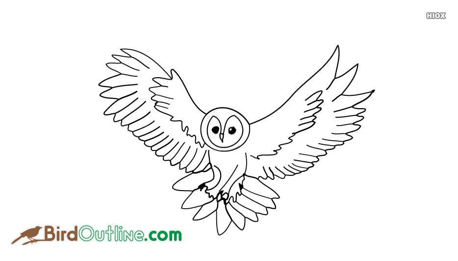 934x534 New Bird Outline Printable Images, Drawings, Sketches - Outline Sketch Of Birds