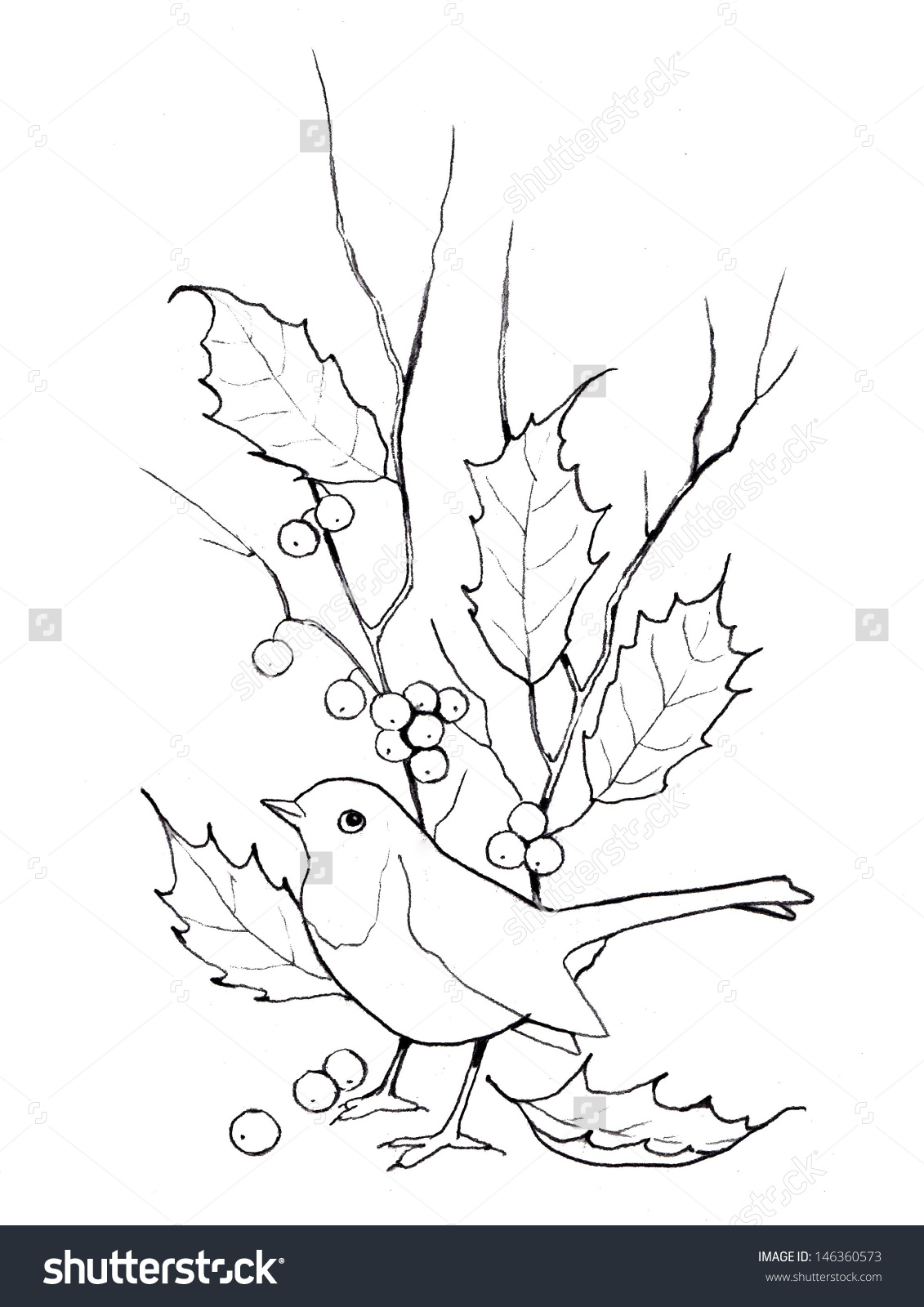 1131x1600 Outline Drawing Of A Bird Bird Outline Drawing Kids Coloring - Outline Sketch Of Birds