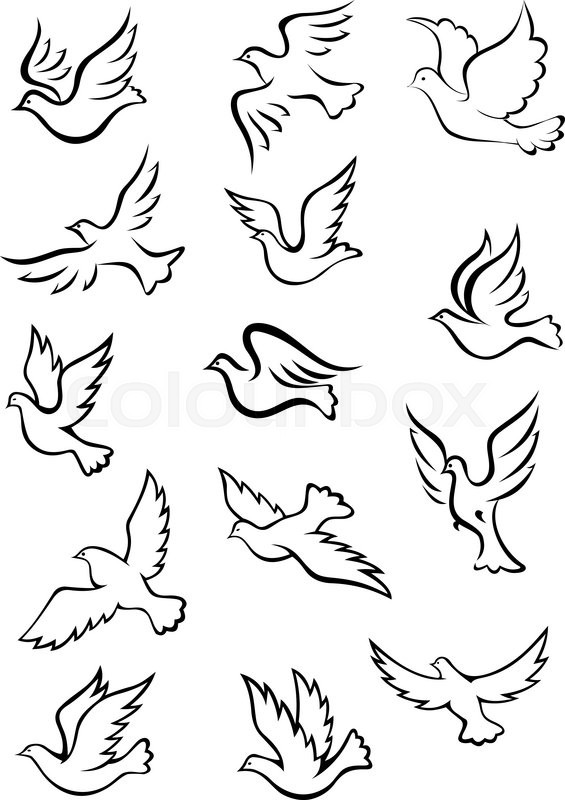 565x800 Outline Graceful Dove And Pigeon Birds Set In Sketch Style For - Outline Sketch Of Birds