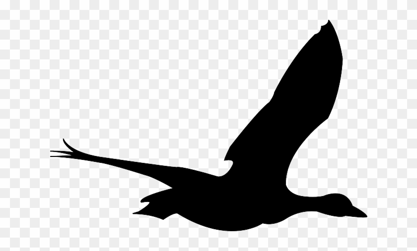 840x507 Silhouette Black, Simple, Outline, Drawing, Sketch, - Outline Sketch Of Birds