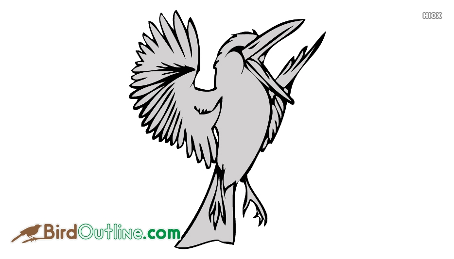 934x534 Bird Outline Sketch Images - Outline Sketch Of Birds