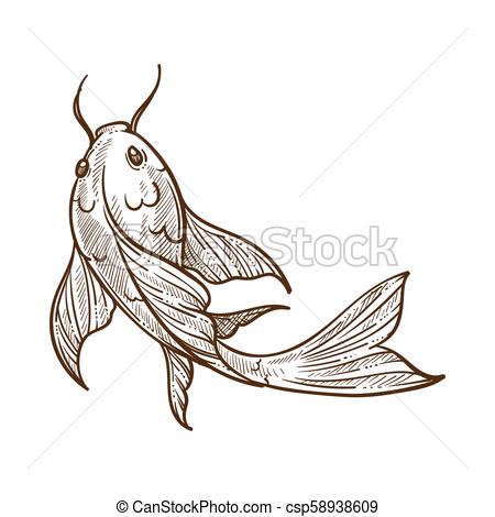 450x470 Gold Fish With Big Fins Floating Monochrome Sketch Vector - Outline Sketch Of Fish