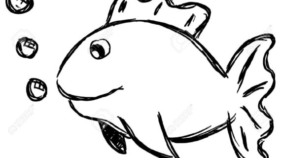 570x320 Outline Drawing Of A Fish Best Ideas About Fish Drawings On - Outline Sketch Of Fish