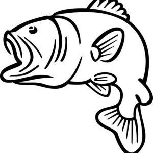 300x300 Bass Fish Jumping Outline Sketch Coloring - Outline Sketch Of Fish