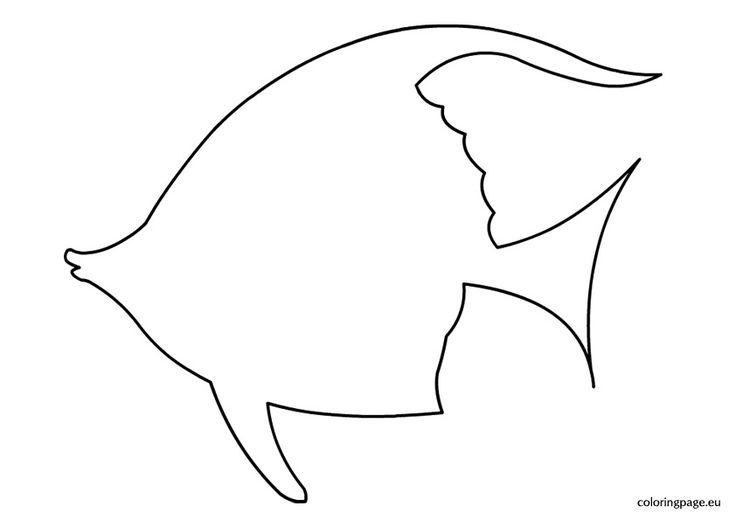 736x520 Simple Fish Drawing 46 Awesome Outline Of Fish April Onthemarch - Outline Sketch Of Fish