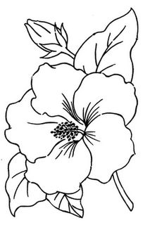 213x320 Flower Outline Drawing Clipart - Outline Sketch Of Flowers