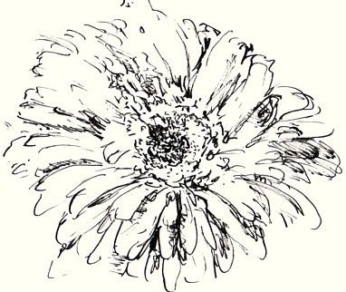 382x322 How Do You Draw Flowers Flower Drawings, Sketches And Drawings - Outline Sketch Of Flowers