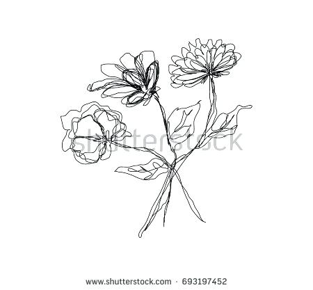 450x417 Outline Flower Cosmos Flowers Set Of Outline Flowers Flower - Outline Sketch Of Flowers