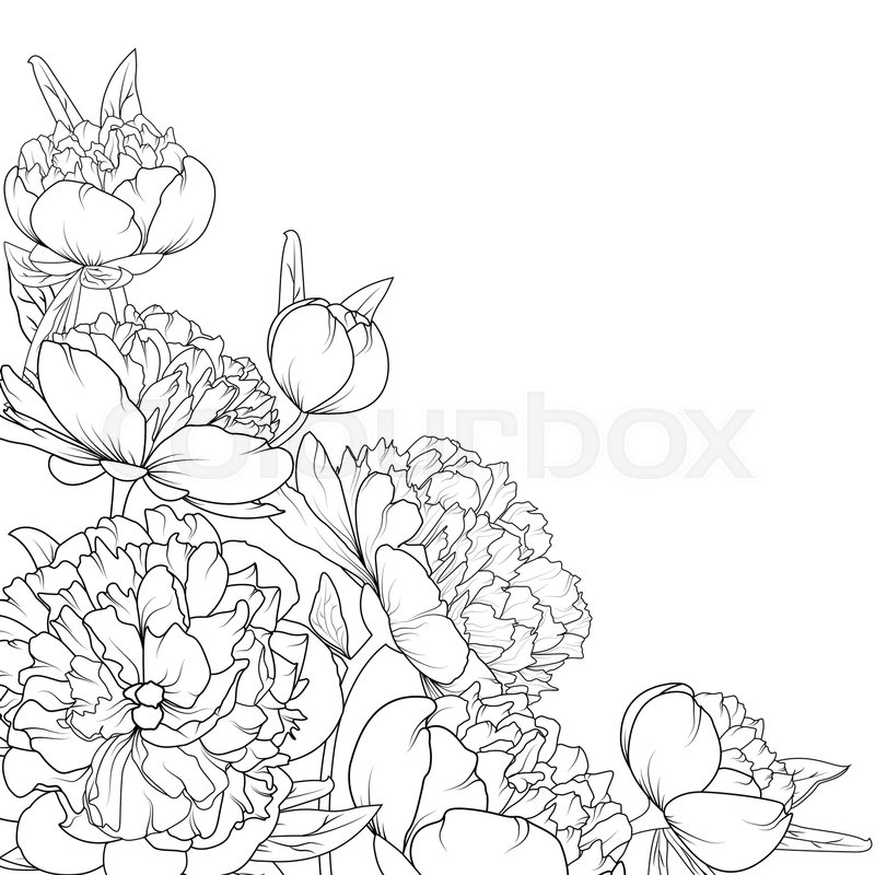 800x800 Peony Rose Garden Spring Summer Flowers Black And White Detailed - Outline Sketch Of Flowers
