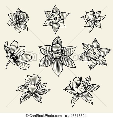 450x470 Sketch Of Flowers. Black Outline On Beige Background, Vector - Outline Sketch Of Flowers
