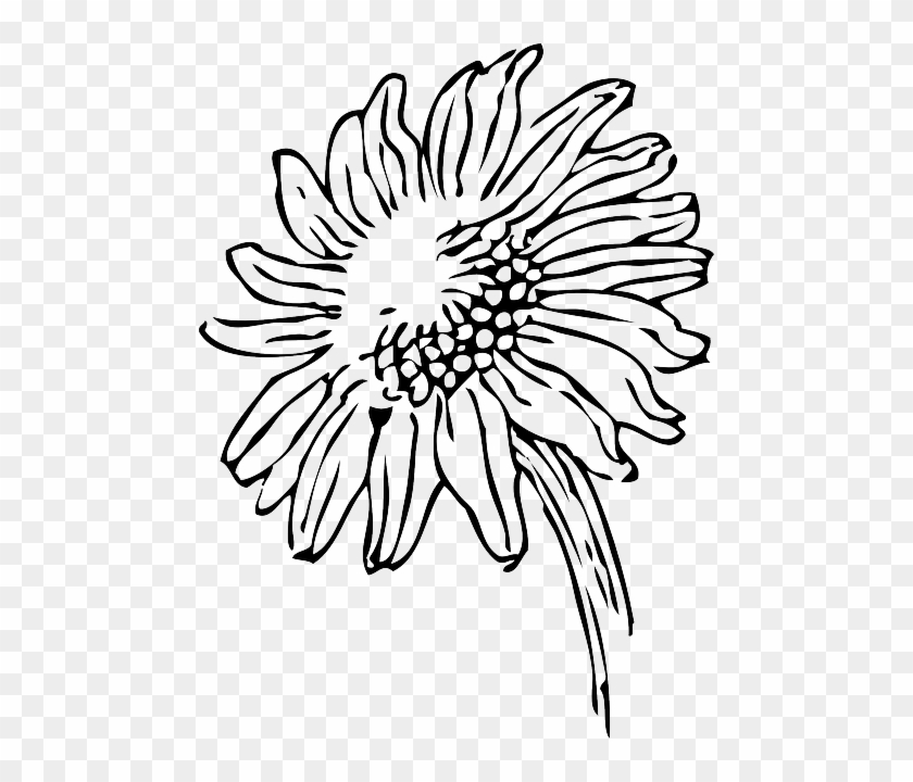 840x720 Black, Outline, Drawing, Sketch, Sun, Flower, White - Outline Sketch Of Flowers
