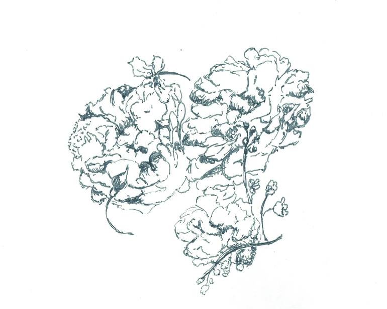 770x616 Dutch Still Life Outline Drawing With Peonies And Other Small - Outline Sketch Of Flowers