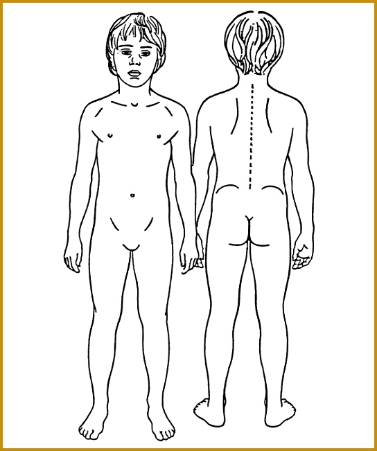 544x651 4 Outline Sketch Of Human Body Fabtemplatez - Outline Sketch Of Human Body