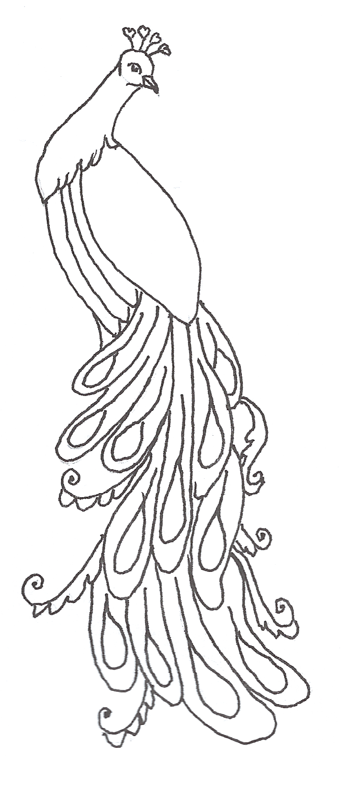673x1552 Peacock Outline - Outline Sketch Of Peacock