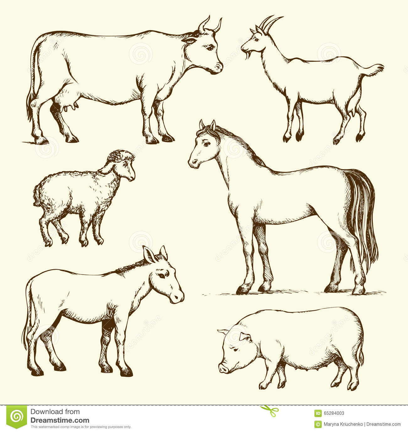 Animals Outline Drawing - Realanimals.net