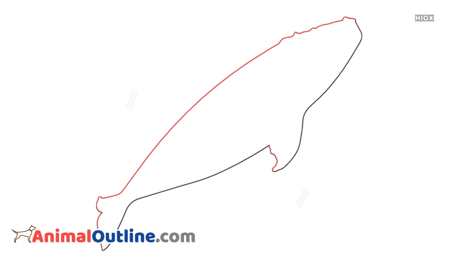 934x534 New Animals Outline Drawings, Sketches - Outline Sketches Of Animals