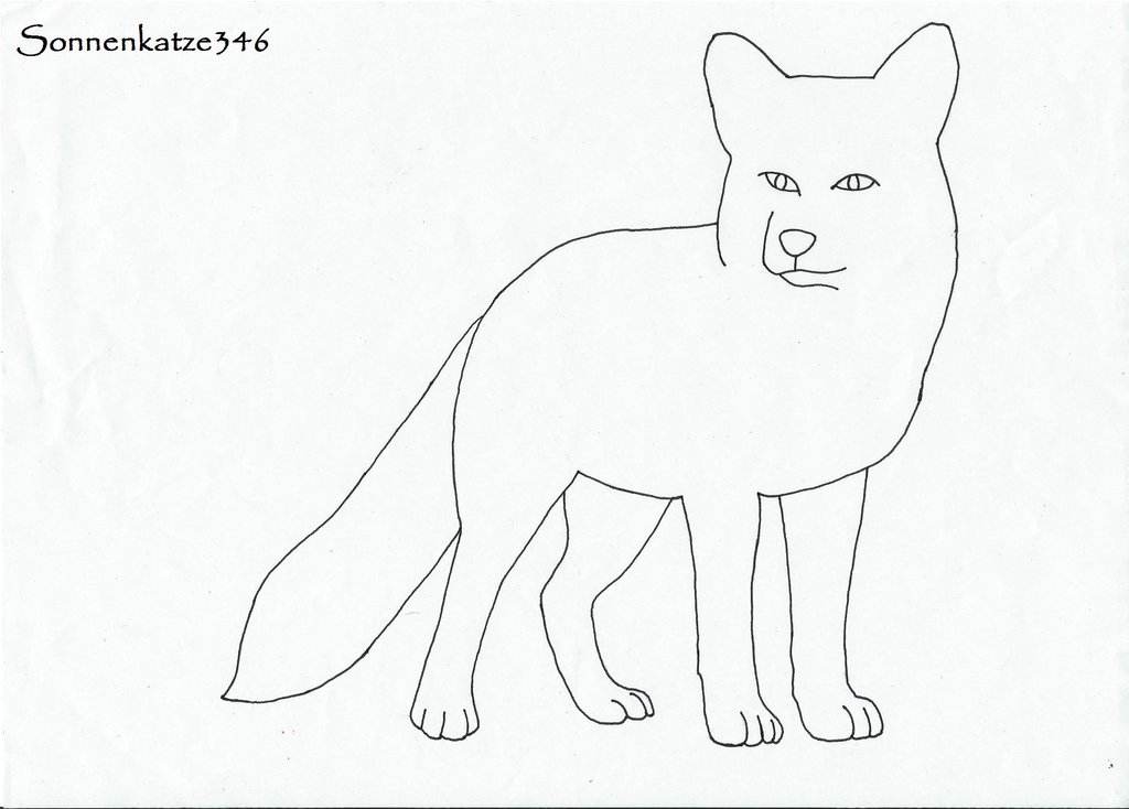 1024x734 Fox Sketch Outlines By Sonnenkatze346 - Outlines Sketch