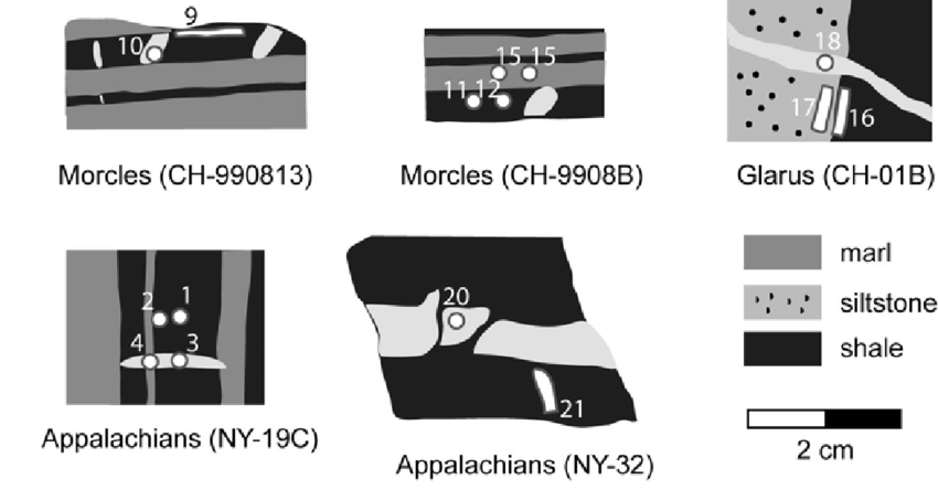 850x453 Sketch Outlines The Locations Of The Drilled Samples For 87 Sr 86 - Outlines Sketch