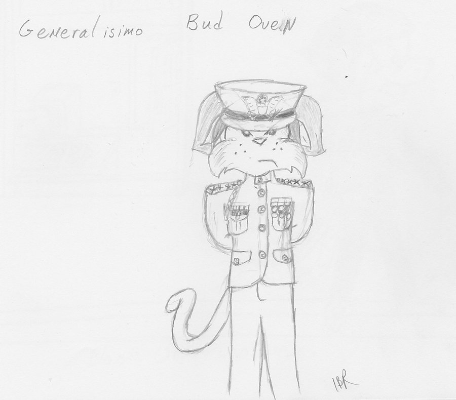 900x790 Generalisimo Oven - Oven Sketch