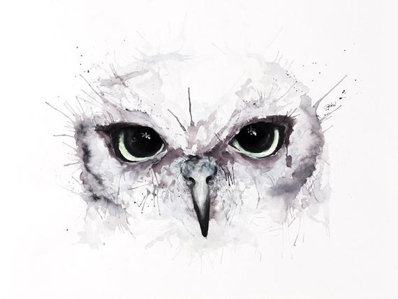 570x428 Owl Eyes Limited Edition Print On Watercolour Paper Etsy - Owl Eyes Sketch