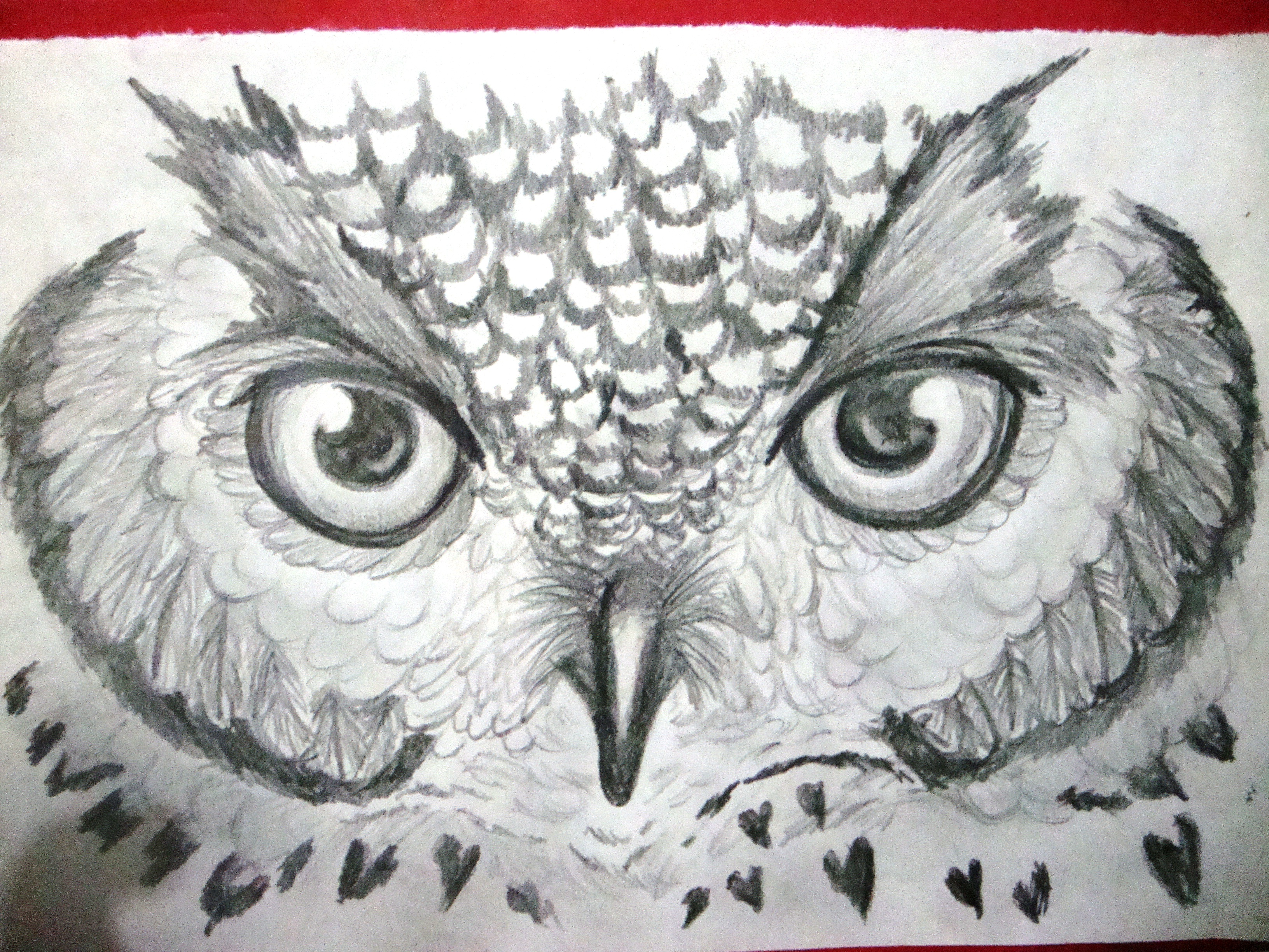 Owl Eyes Sketch at PaintingValley.com | Explore collection of Owl Eyes ...