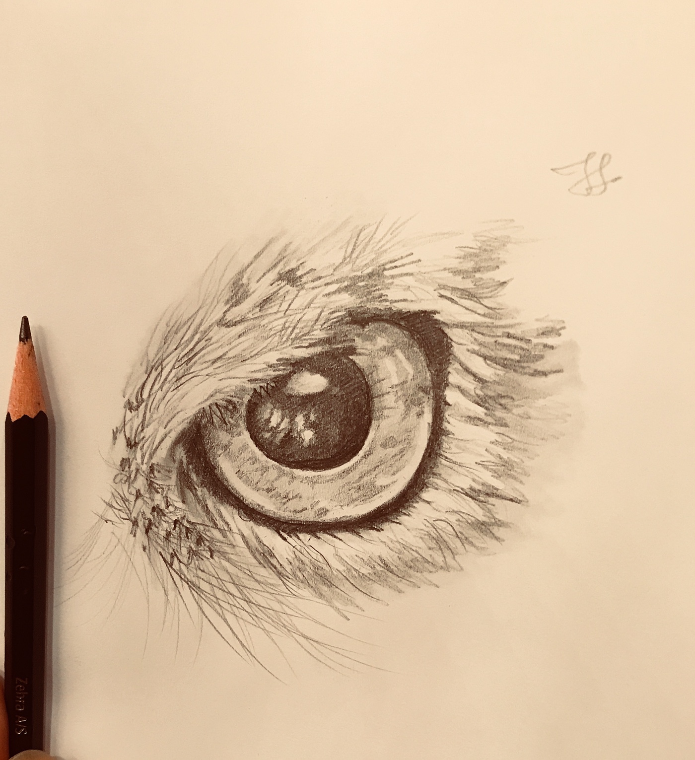 1400x1531 Owl Eye Sketch On Behance - Owl Eyes Sketch