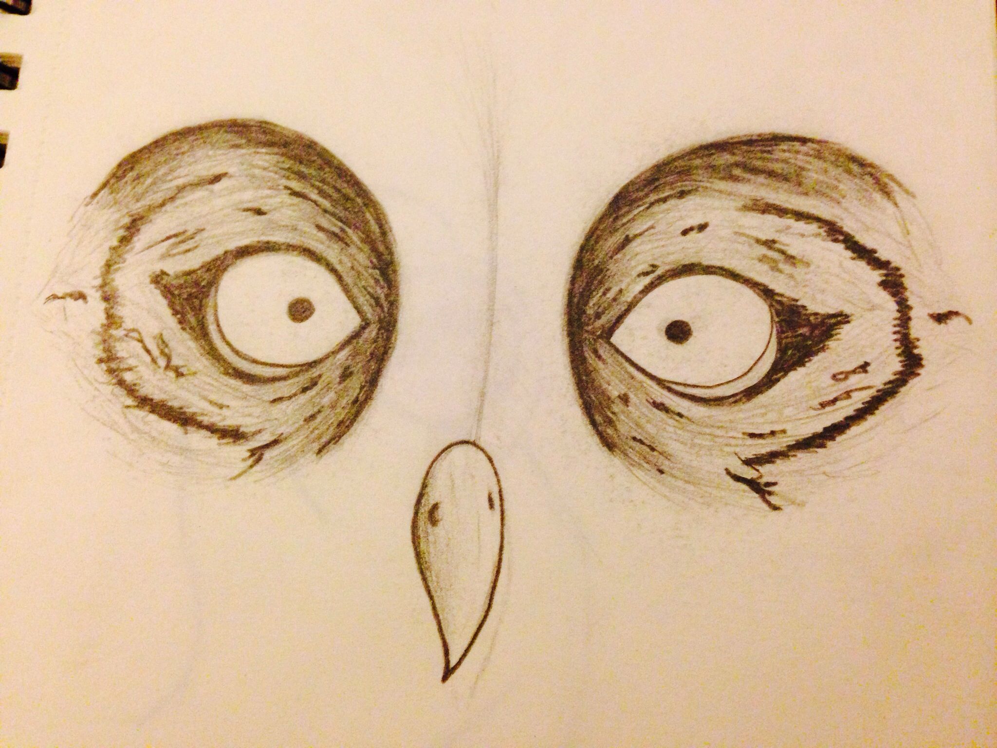 2048x1536 Owl Eyes Sketch My Art And Sketches Owl Eyes - Owl Eyes Sketch