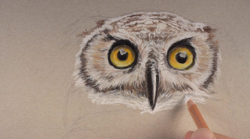 800x446 Pastel Pencils - Owl Eyes Sketch